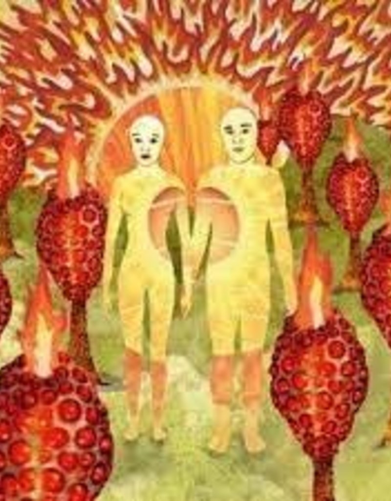 (LP) Of Montreal - The Sunlandic Twins (2LP deluxe edition-red/orange swirl)