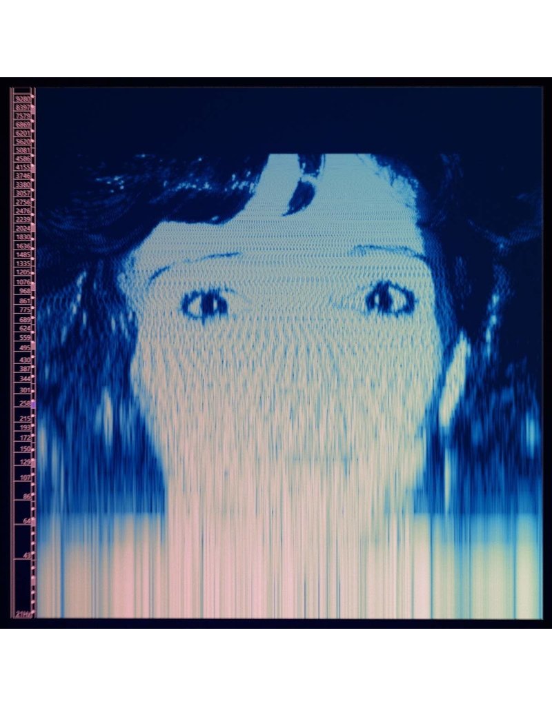 (LP) Avalanches - We Will Always Love You (2LP) DISCONTINUED