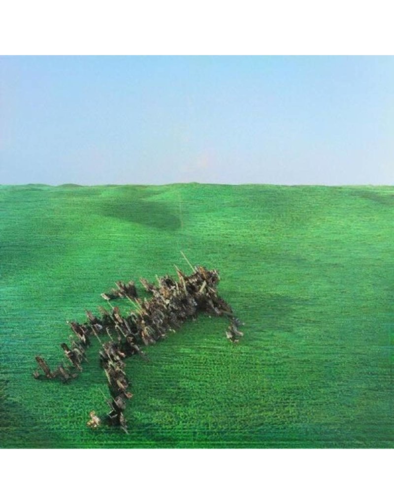 (LP) Squid	- Bright Green Field (2LP)