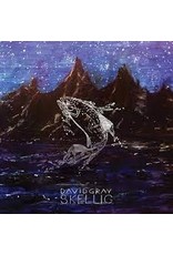 (LP) David Gray - Skellig (2LP)