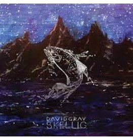 (LP) David Gray - Skellig (2LP)