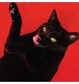 (CD) Ryan Adams - Big Colors