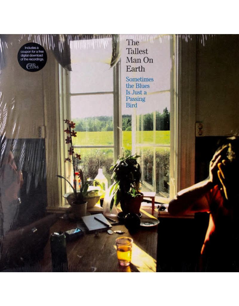(Used LP) The Tallest Man On Earth - Sometimes the Blues Is Just a Passing Bird