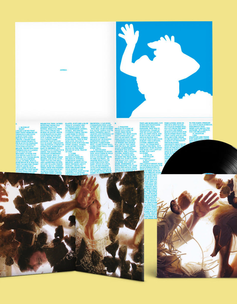 Chrysalis (LP) LUMP - Animal (180g Deluxe Edition)