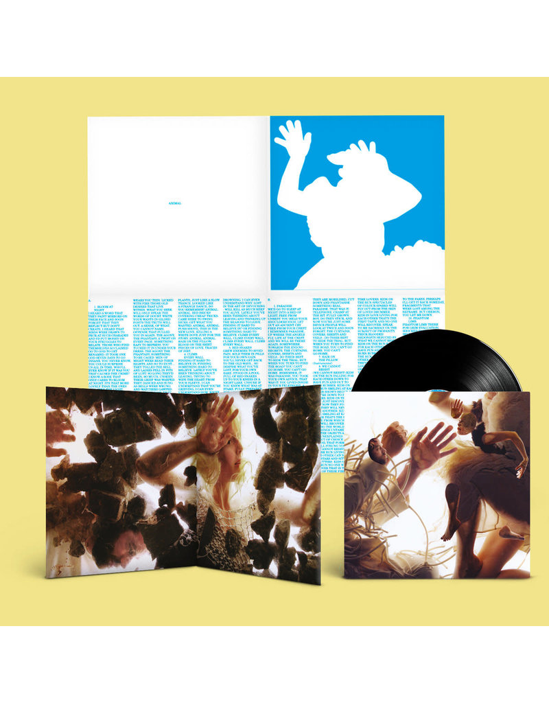 Chrysalis (LP) LUMP - Animal (180g Deluxe Edition)