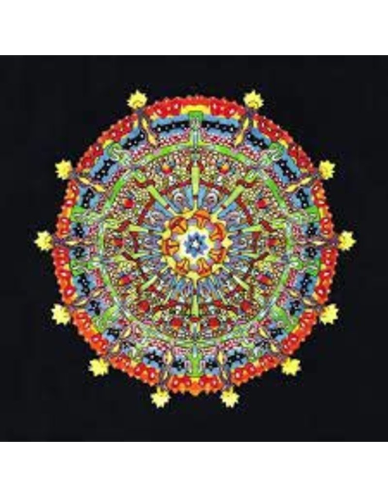 (LP) Of Montreal - Hissing Fauna Are You The Destroyer (2LP)