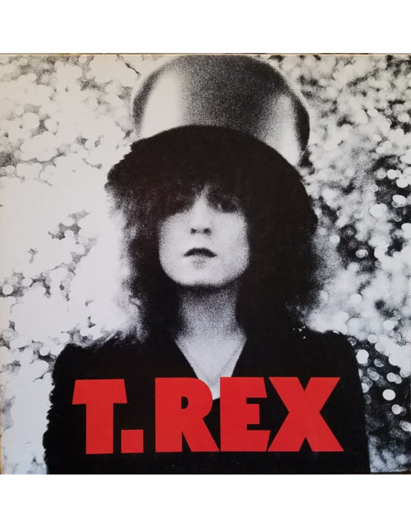 Demon (LP) T. Rex  - The Slider (180g-clear vinyl)