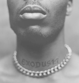 (LP) DMX - Exodus