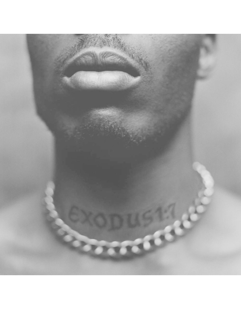 (LP) DMX - Exodus