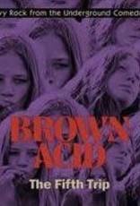 Riding Easy (LP) Various - Brown Acid: The Fifth Trip