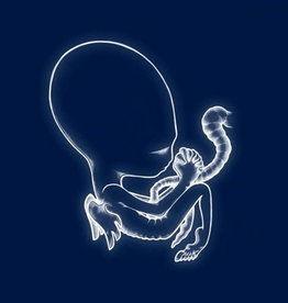 KUK (LP) Sigur Ros - Agaetis Byrjun (2LP/2021 Repress)