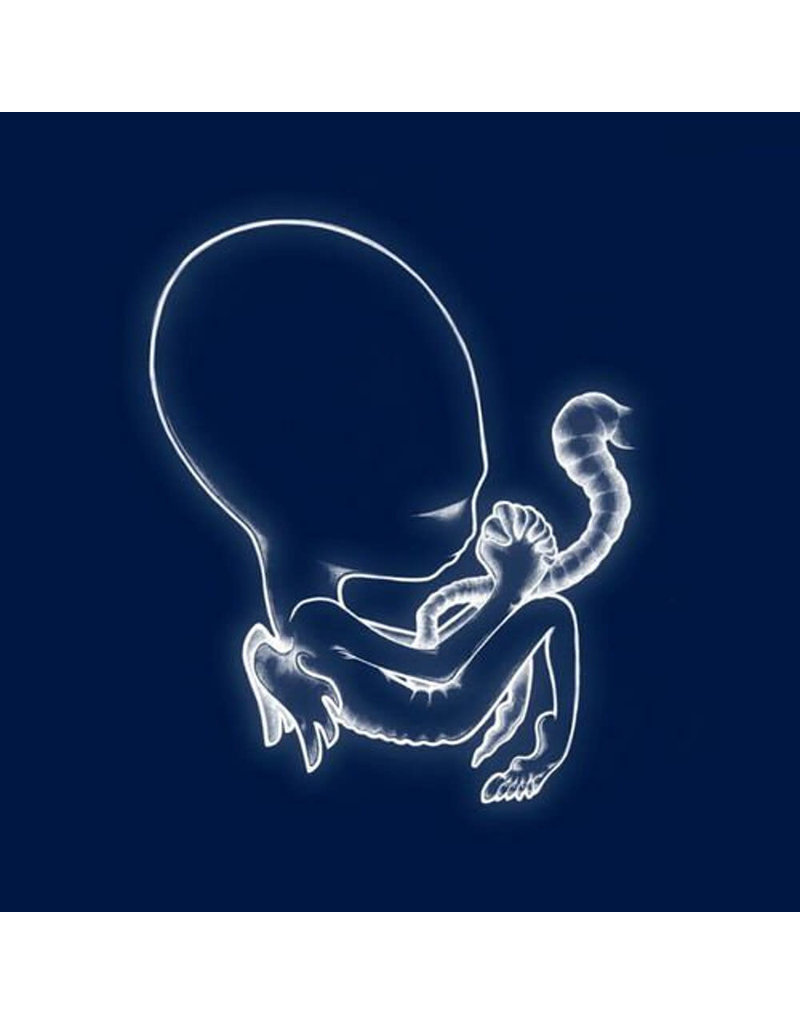 KUK (LP) Sigur Ros - Agaetis Byrjun (2LP/2021 Repress)