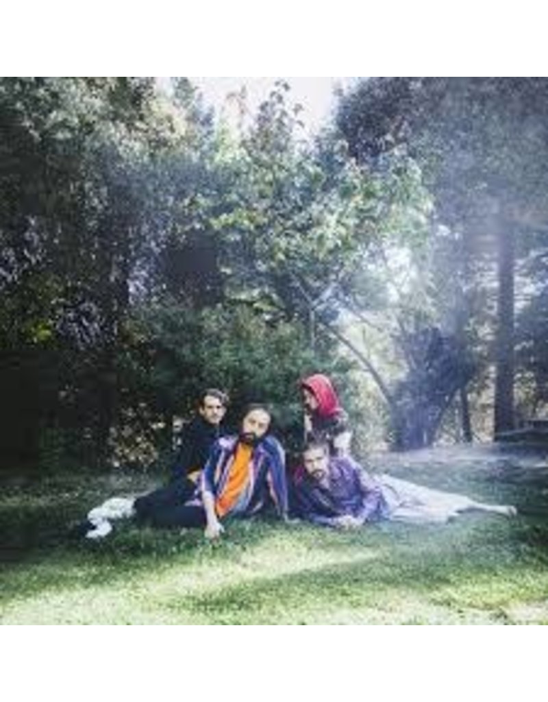 (LP) Big Thief - UFOF