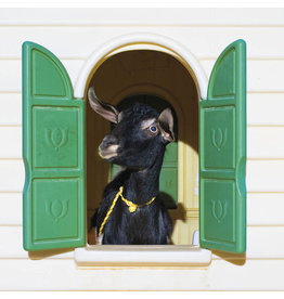 (CD) Superchunk - Wild Loneliness