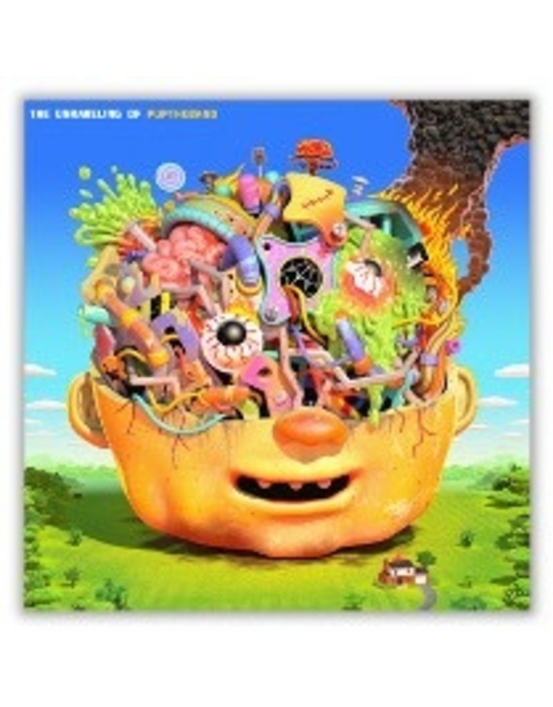 Little Dipper (LP) PUP - The Unraveling Of PUP The Band (Black w/ Coral & Violet Splatter)