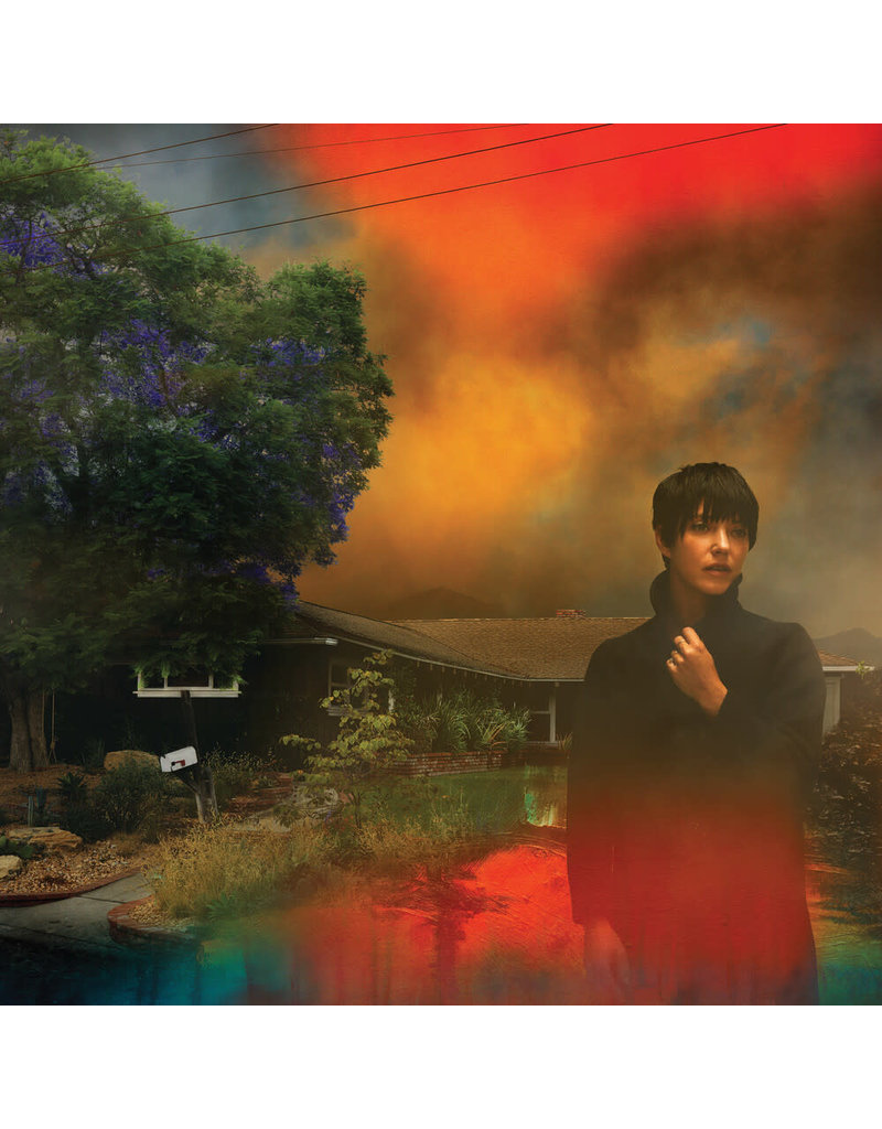 (LP) Sharon Van Etten - We've Been Going About This All Wrong (Indie: Marbled Smoke Vinyl)