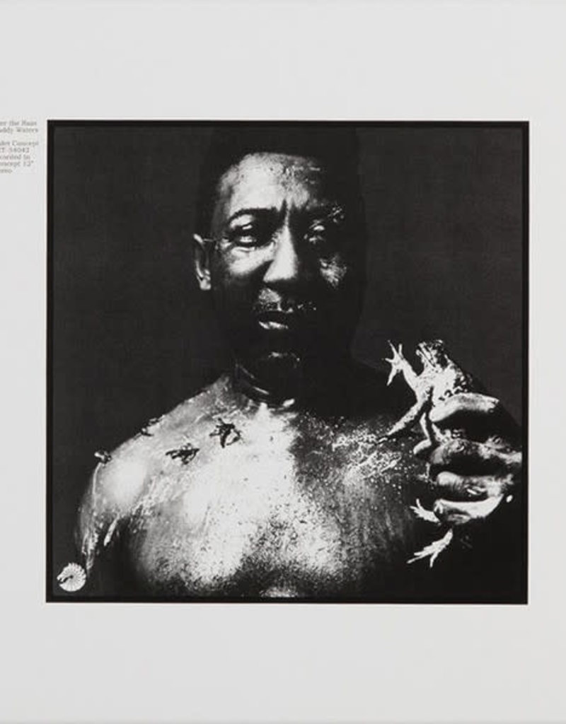 (LP) Muddy  Waters - After The Rain