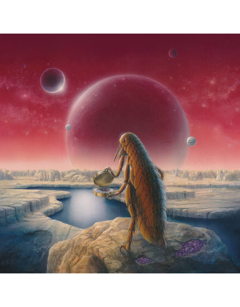 (LP) Claypool Lennon Delirium - South Of Reality (2LP/purple & blue) Amethyst Edition