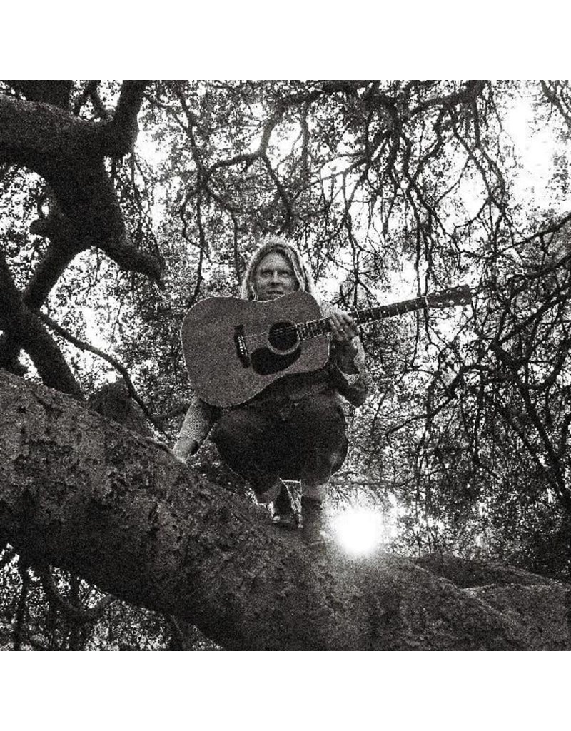 (LP) Ty Segall - "Hello, Hi"**********DEEP DISCOUNT IN EFFECT!**********