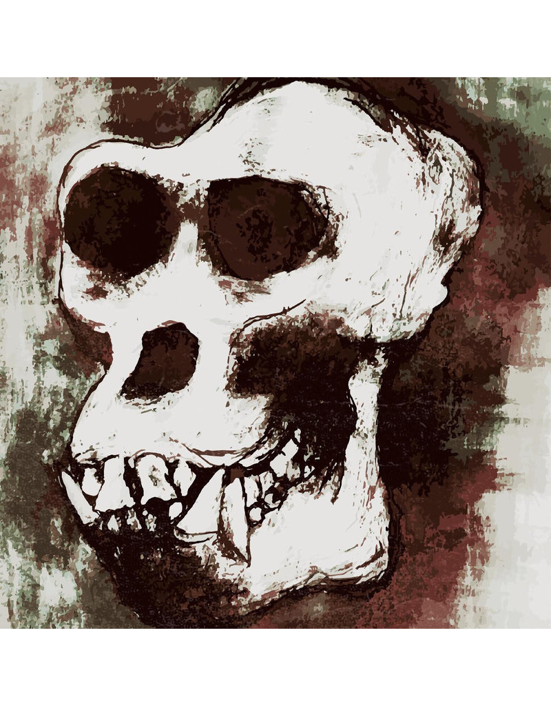Hand Solo Records (LP) Ol' Gorilla Bones x The Dirty Sample - Revenge Vol. 1