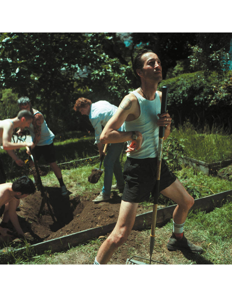 (LP) Marlon Williams - My Boy (Yellow Vinyl)**********DEEP DISCOUNT IN EFFECT!**********