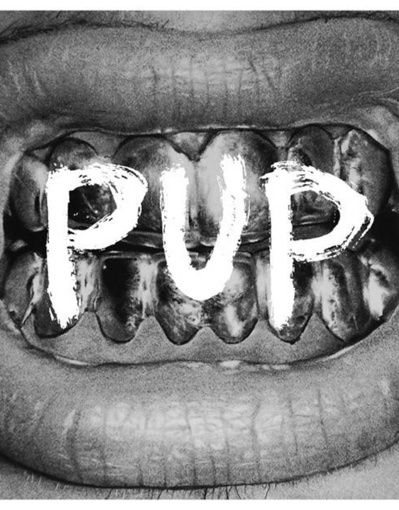(LP) Pup - Self Titled (5th Anniversary Edition)