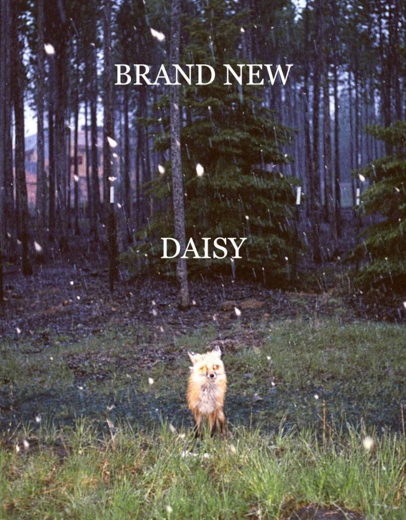 (LP) Brand New - Daisy