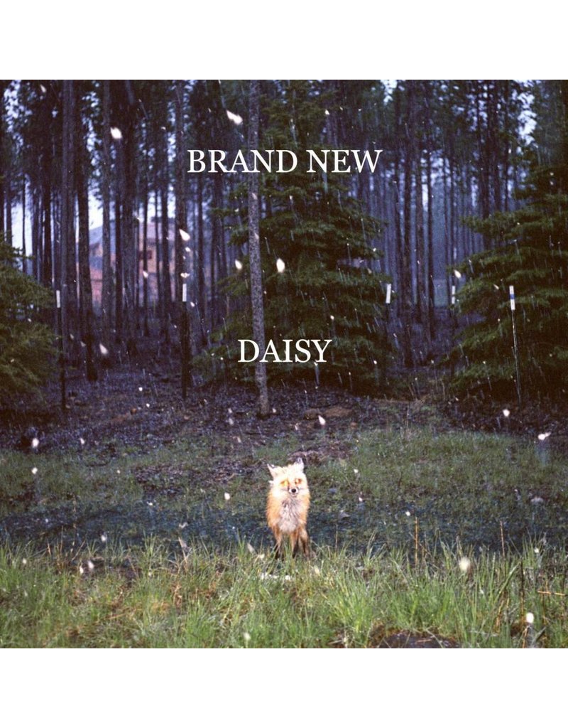(LP) Brand New - Daisy