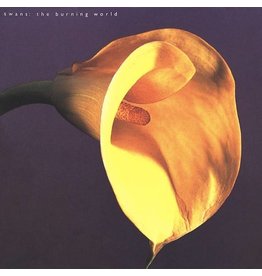 (LP) Swans - The Burning World (DIS)