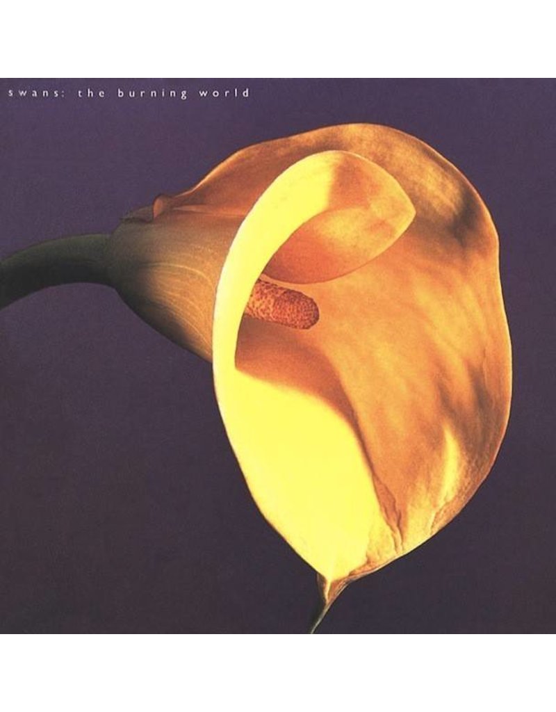(LP) Swans - The Burning World (DIS)