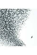 (LP) Wilco - Sky Blue Sky