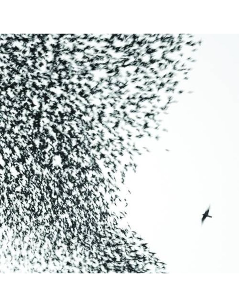 (LP) Wilco - Sky Blue Sky