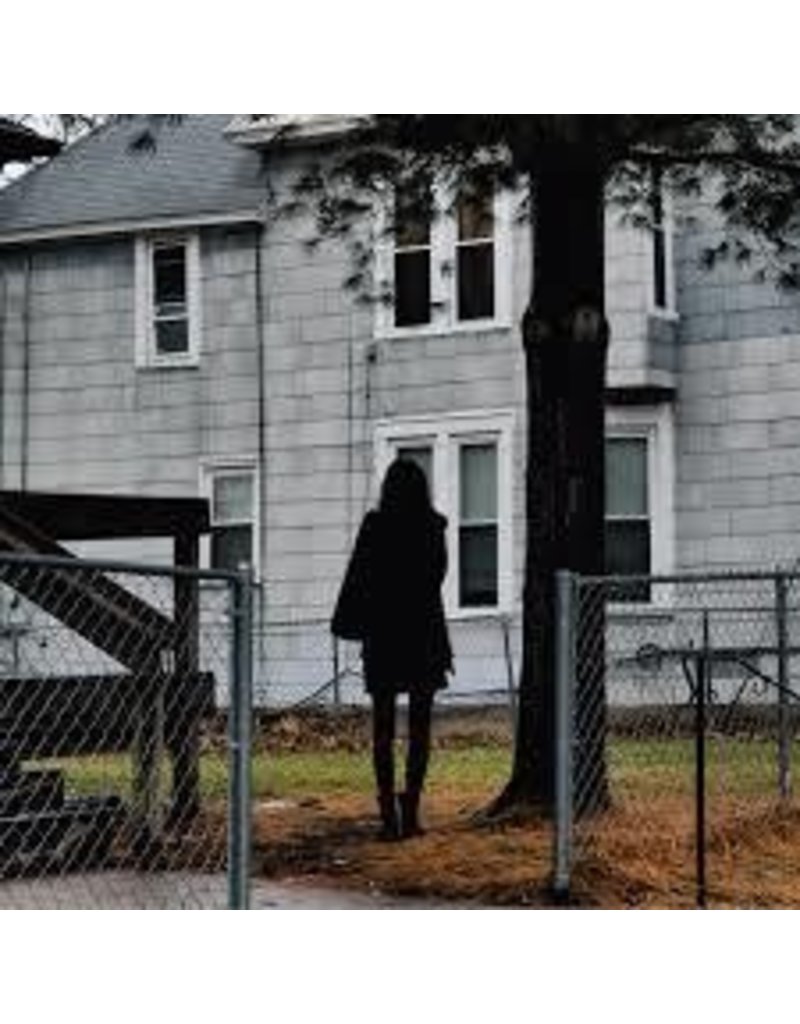 (LP) Tallest Man On Earth - Dark Bird Is Home