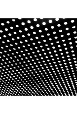 (LP) Beach House - Bloom  (2LP)