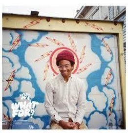 (LP) Toro Y Moi - What For?