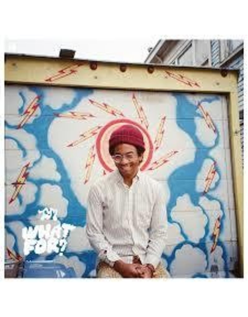 (LP) Toro Y Moi - What For?