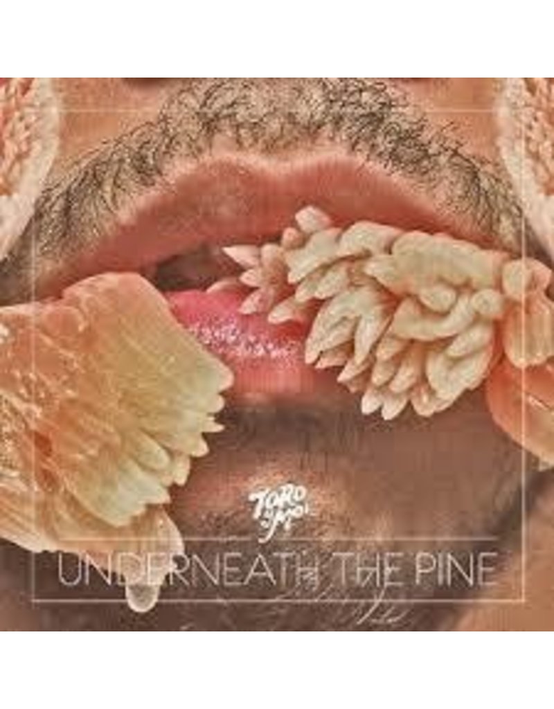 Carpark (LP) Toro Y Moi - Underneath The Pine