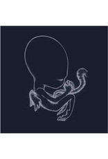 (LP) Sigur Ros - Agaetis Byrjum