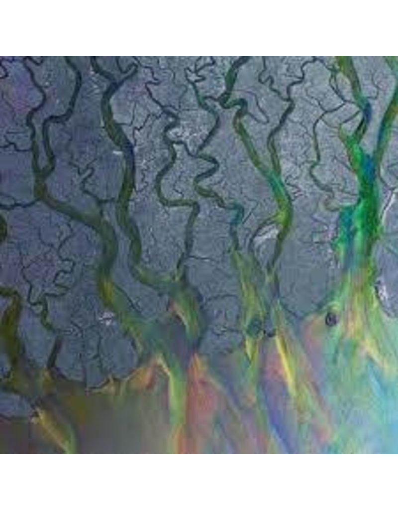 (LP) Alt-J - An Awesome Wave DISCONTINUED