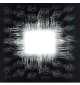 (LP) Tool - Aenima (2LP)