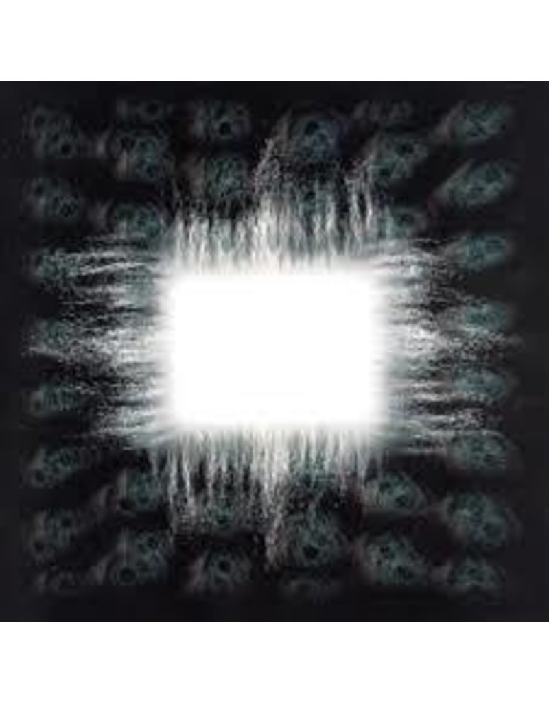 (LP) Tool - Aenima (2LP)