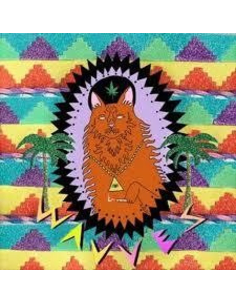 (LP) Wavves - King Of The Beach (DIS)