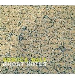 (LP) Veruca Salt - Ghost Notes (2LP) (DIS)