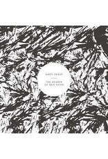 (LP) Andy Shauf - Bearer Of Bad News