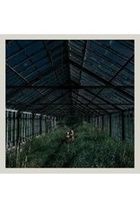 (LP) Foxing - Dealer (DIS)