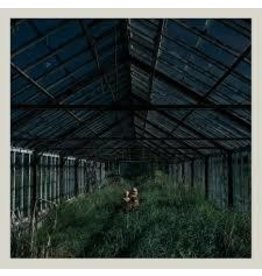 (LP) Foxing - Dealer (DIS)