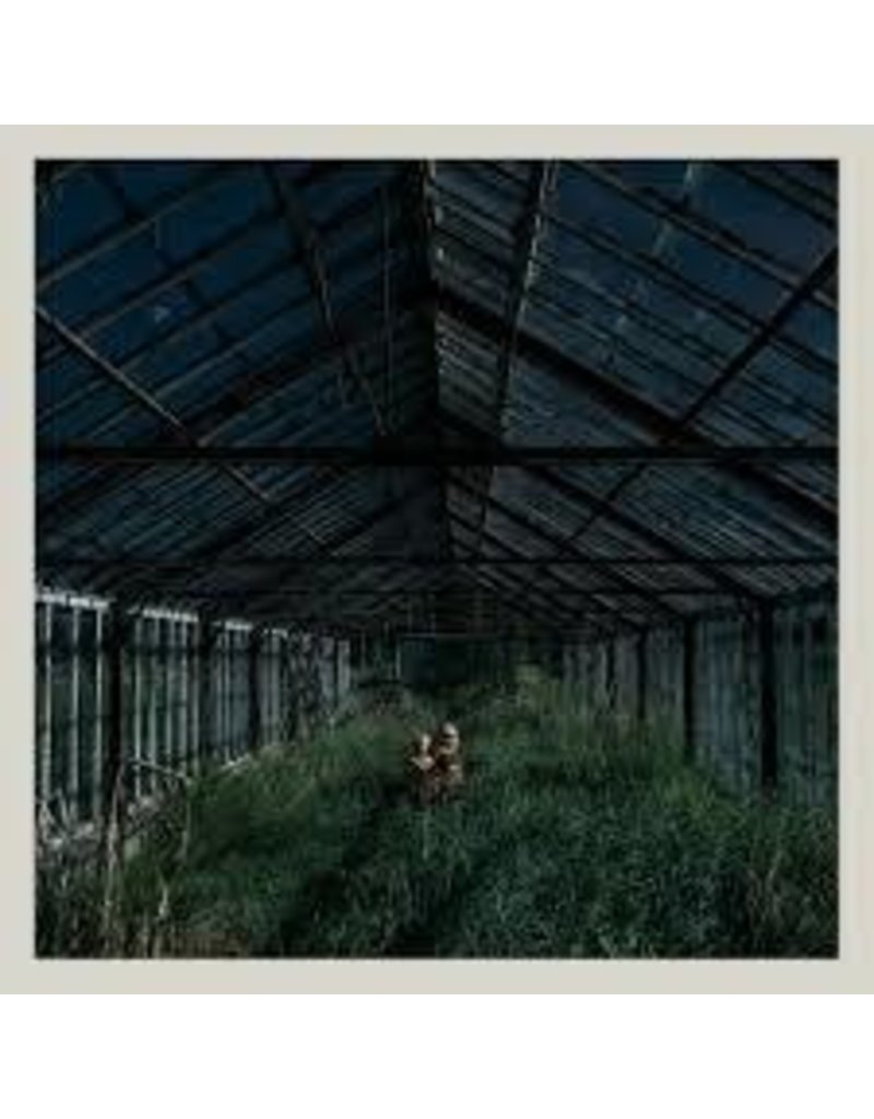 (LP) Foxing - Dealer (DIS)