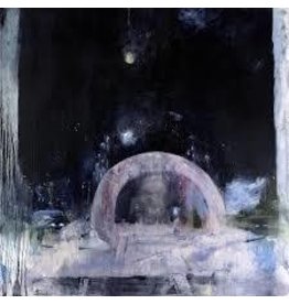 (LP) Daughter - Not To Disappear