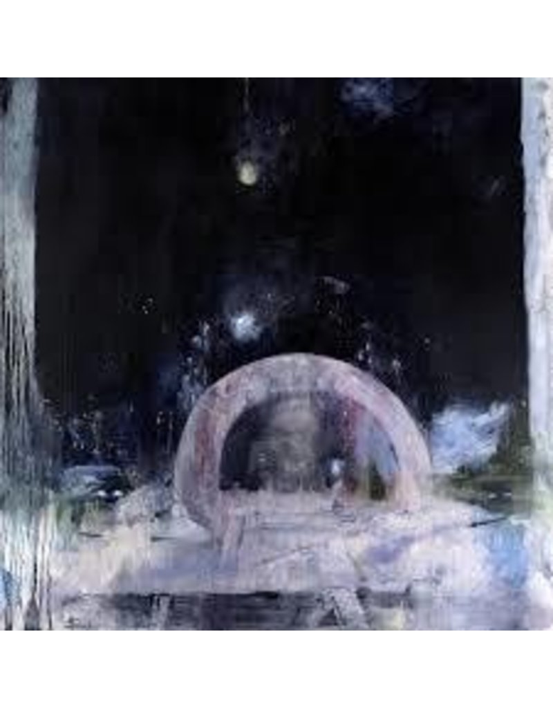 (LP) Daughter - Not To Disappear