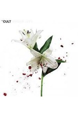 (LP) The Cult - Hidden City
